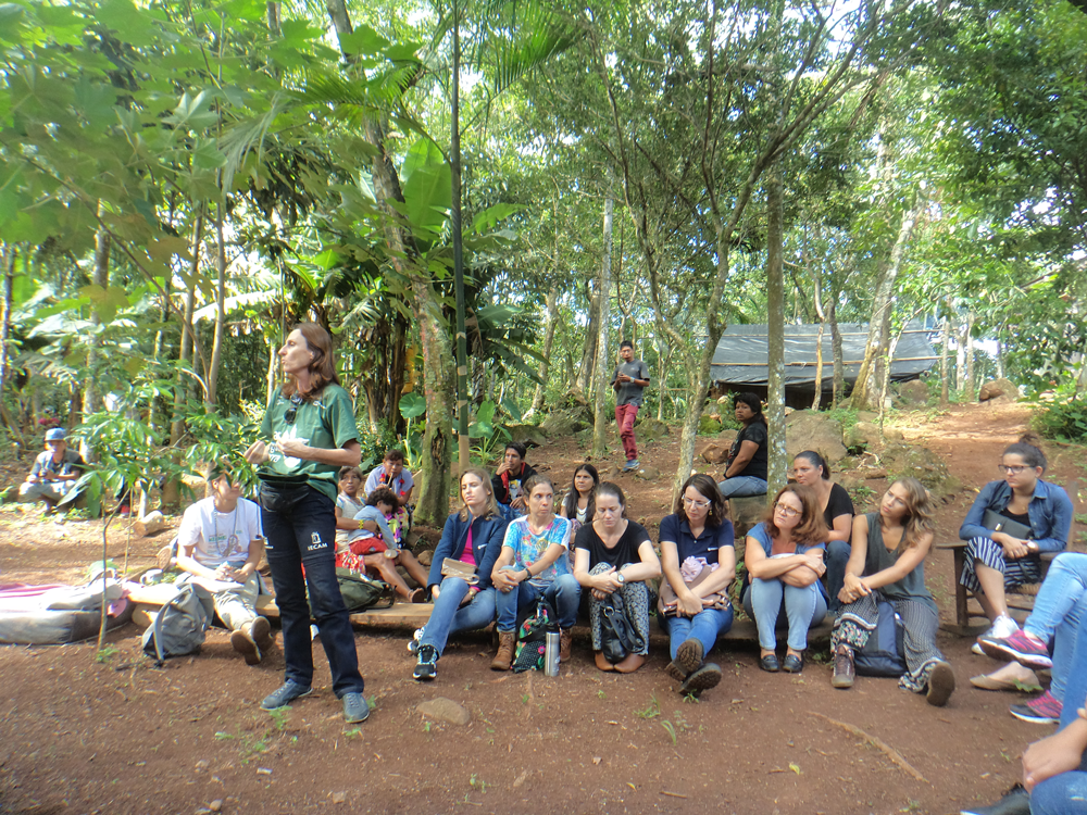 Encontro de mulheres Guarani pautou o uso da medicina tradicional e das plantas medicinais